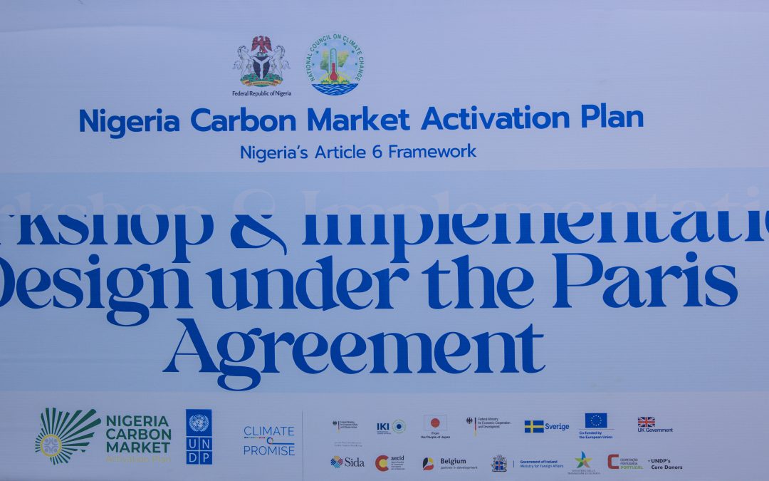 Nigeria Gears up for Carbon Trading